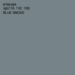#76848A - Blue Smoke Color Image